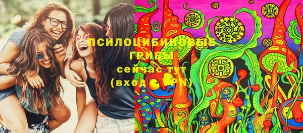 экстази Бородино