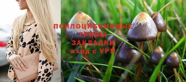 экстази Бородино
