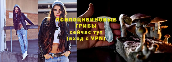 эйфоретик Вуктыл