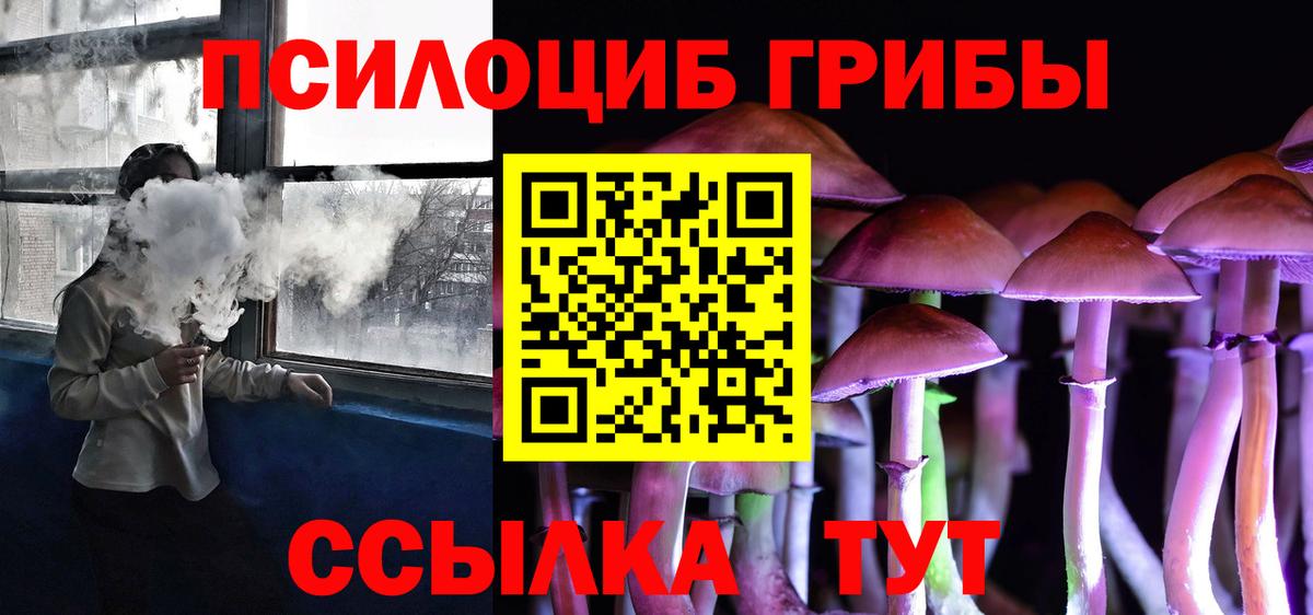 Дагестанские Огни  Галлюциногенные грибы Psilocybe  Вход с VPN 