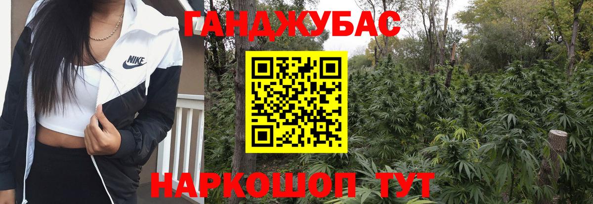 Марихуана гибрид Дагестанские Огни